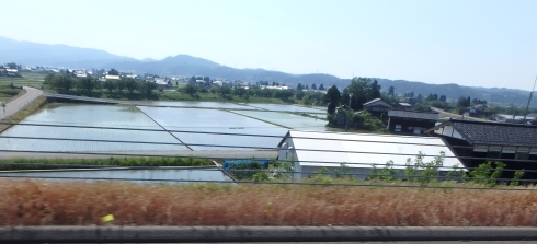 f0350468_10181048.jpg