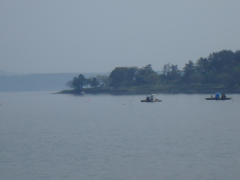 f0350468_21000616.jpg