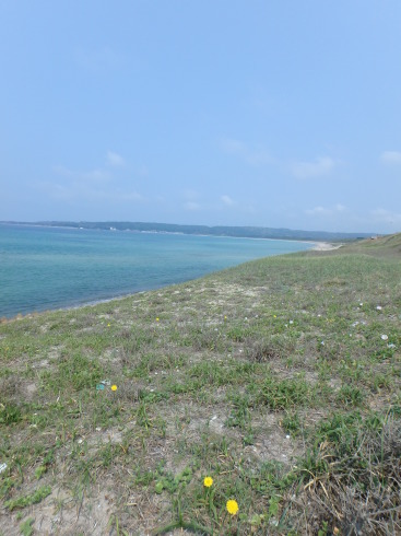 f0350468_21100659.jpg