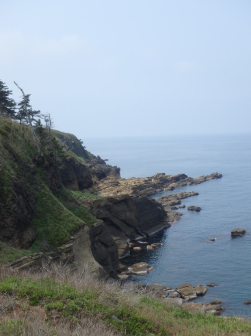 f0350468_21154212.jpg