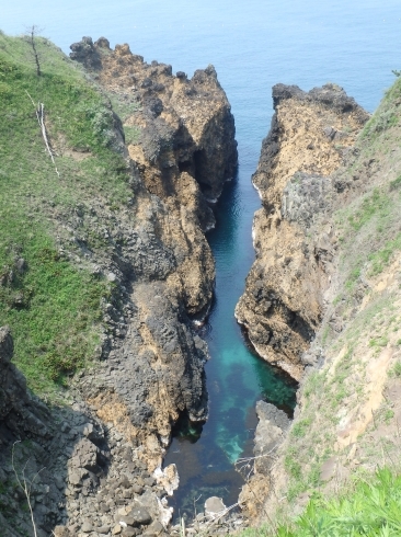 f0350468_21224784.jpg