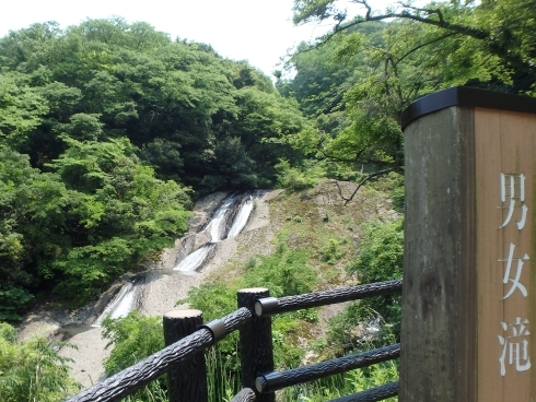 f0350468_21282060.jpg