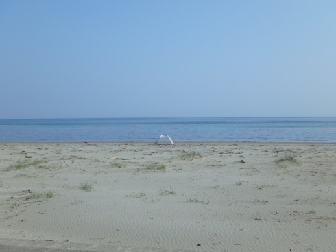 f0350468_22205097.jpg