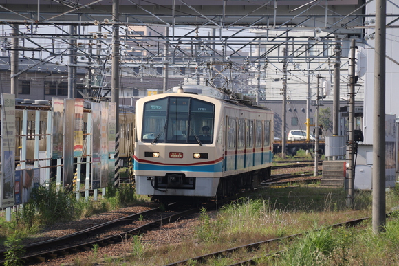 d0187275_2035035.jpg