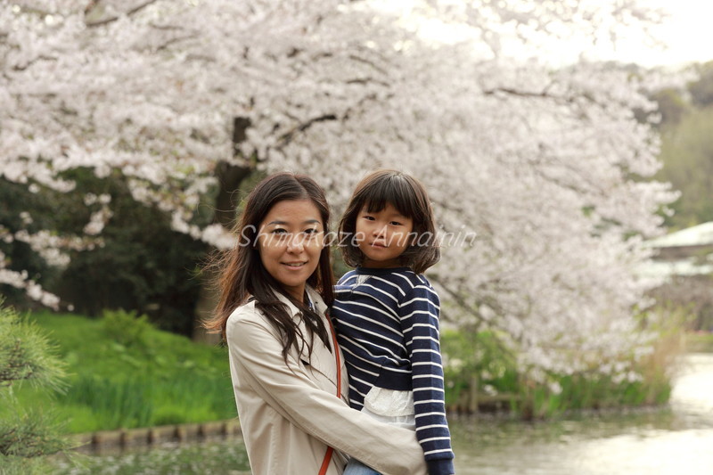 横浜・三渓園 2016年4月 _e0354775_17192832.jpg