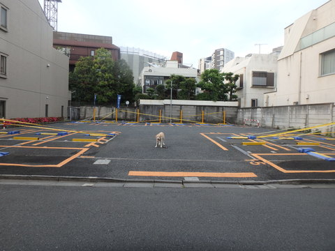 f0052277_232690.jpg