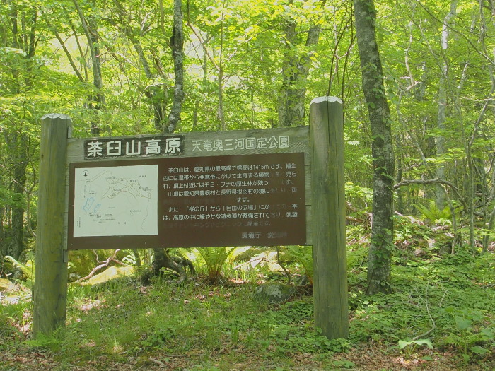 c0197578_22192690.jpg