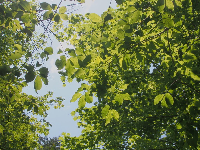c0197578_22195619.jpg