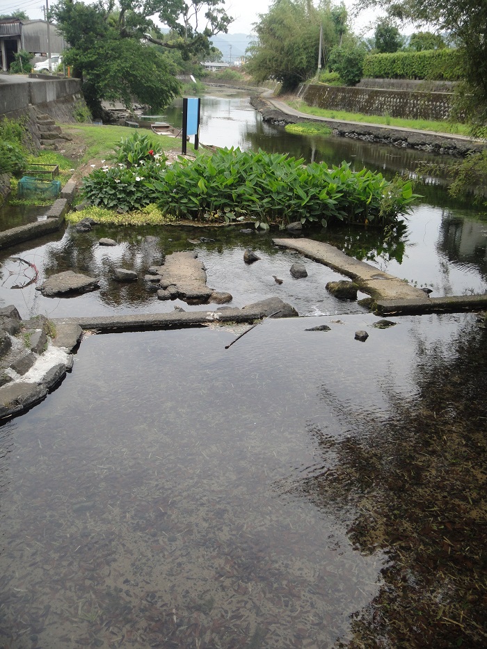 f0238779_69114.jpg