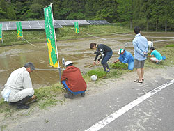 田植え体験(月光原小・西根小) _d0247484_180738.jpg