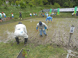 田植え体験(月光原小・西根小) _d0247484_1827107.jpg