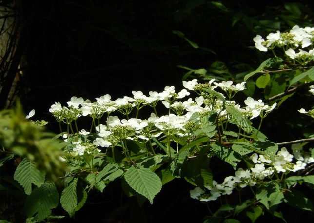 c0144185_22553440.jpg