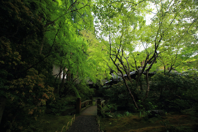 瑠璃光院_e0051888_23172889.jpg