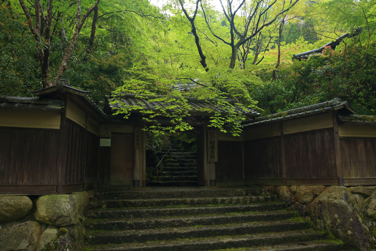 瑠璃光院_e0051888_2317629.jpg