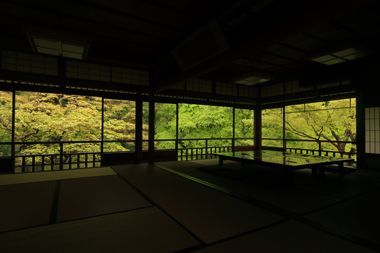 瑠璃光院_e0051888_23182785.jpg