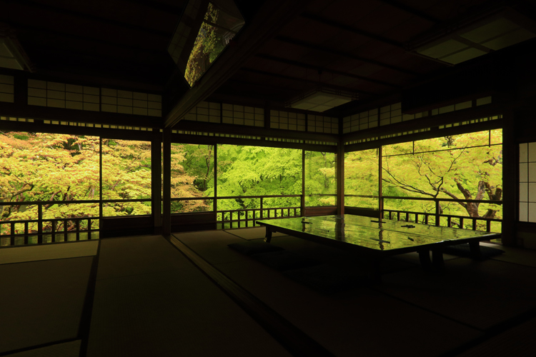 瑠璃光院_e0051888_2319157.jpg
