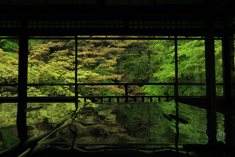 瑠璃光院_e0051888_23193371.jpg