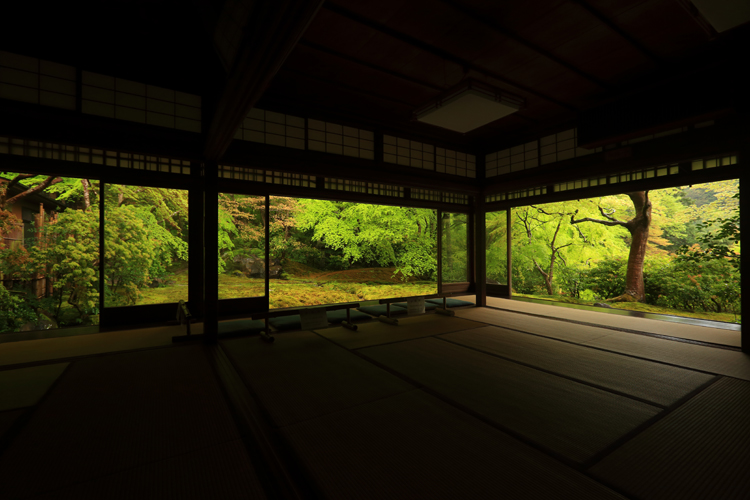 瑠璃光院_e0051888_23204577.jpg
