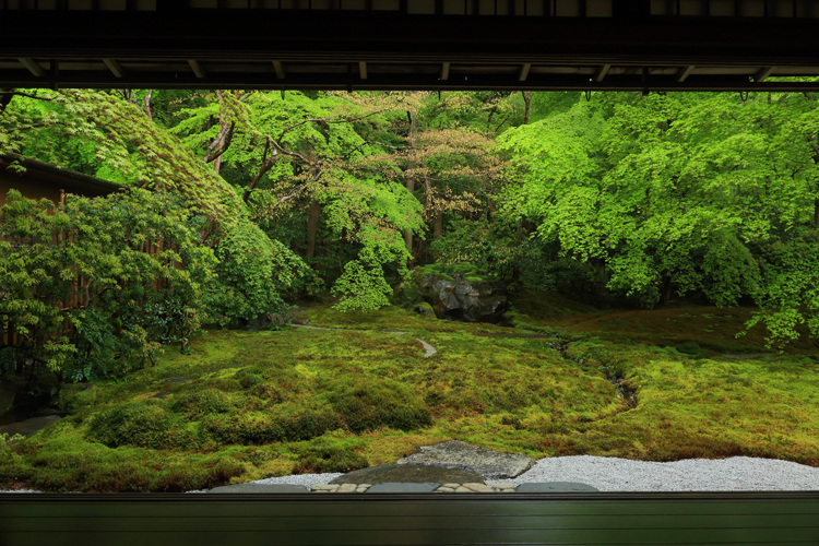 瑠璃光院_e0051888_23211472.jpg