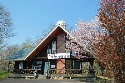 b0191190_03271924.jpg