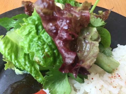 Tottori カルマ まるなげ食堂_e0115904_14242247.jpg