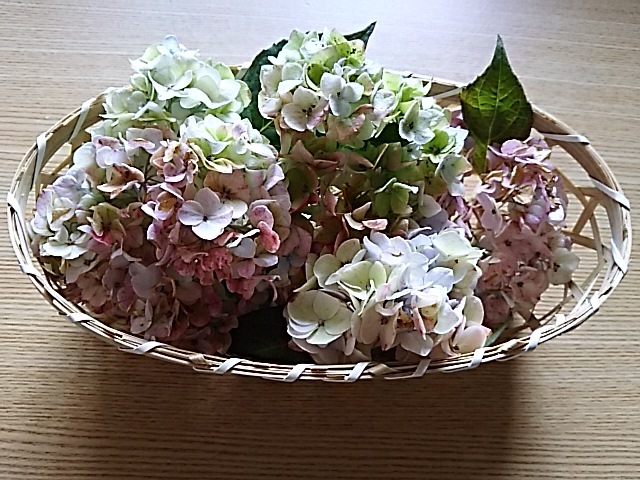 f0316507_11151909.jpg
