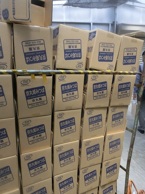 「やらまいか」の具現化! 「ユニバーサル農業」に取り組む京丸園㈱さんと浜松市_f0141310_844017.jpg