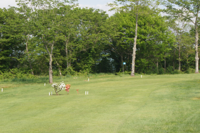 a0173819_840523.jpg