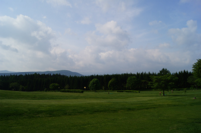 a0173819_84121.jpg