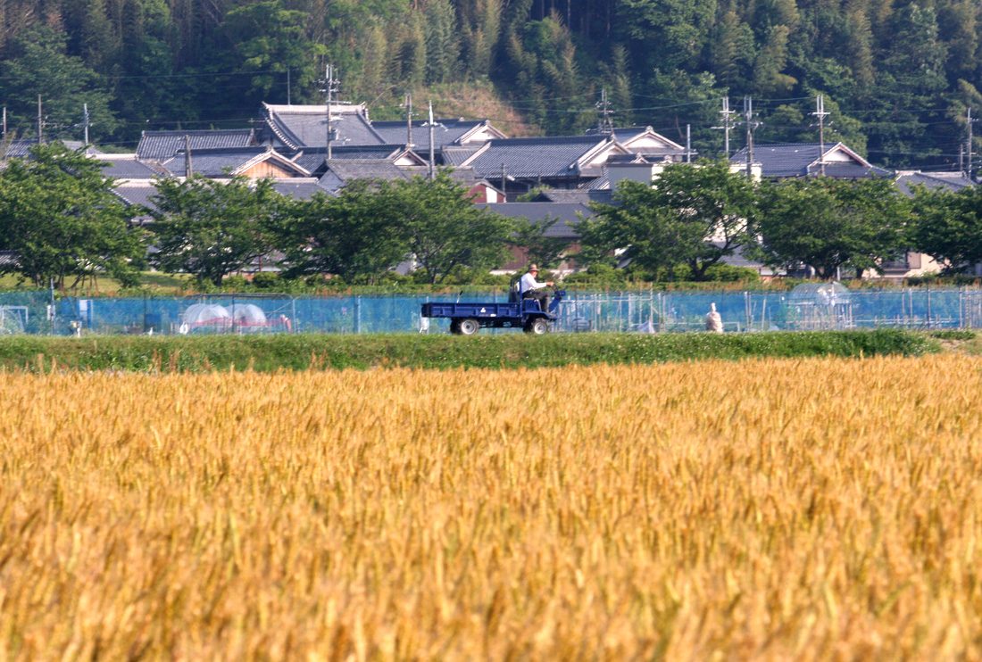 a0329025_10143785.jpg