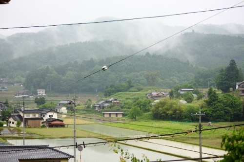 d0336530_15560588.jpg