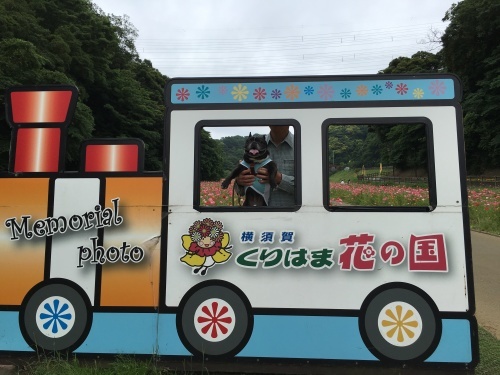 b0113232_17564041.jpeg