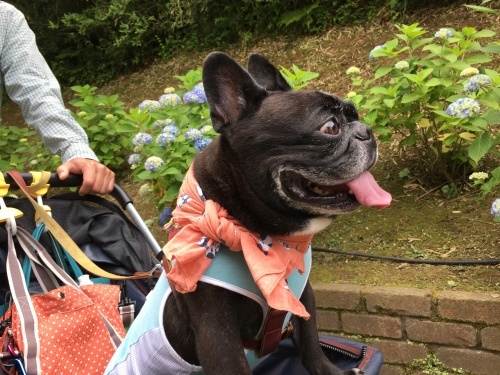 b0113232_17584317.jpeg