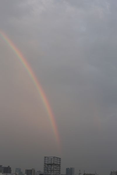 b0058936_415272.jpg
