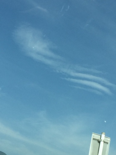 b0369239_13411846.jpeg
