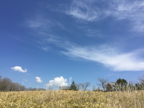 b0330040_05143807.jpeg