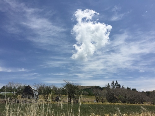 b0330040_05171090.jpeg