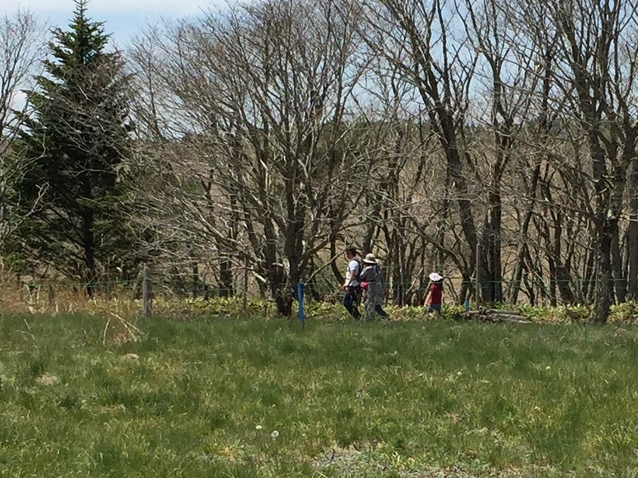 b0330040_13103670.jpeg