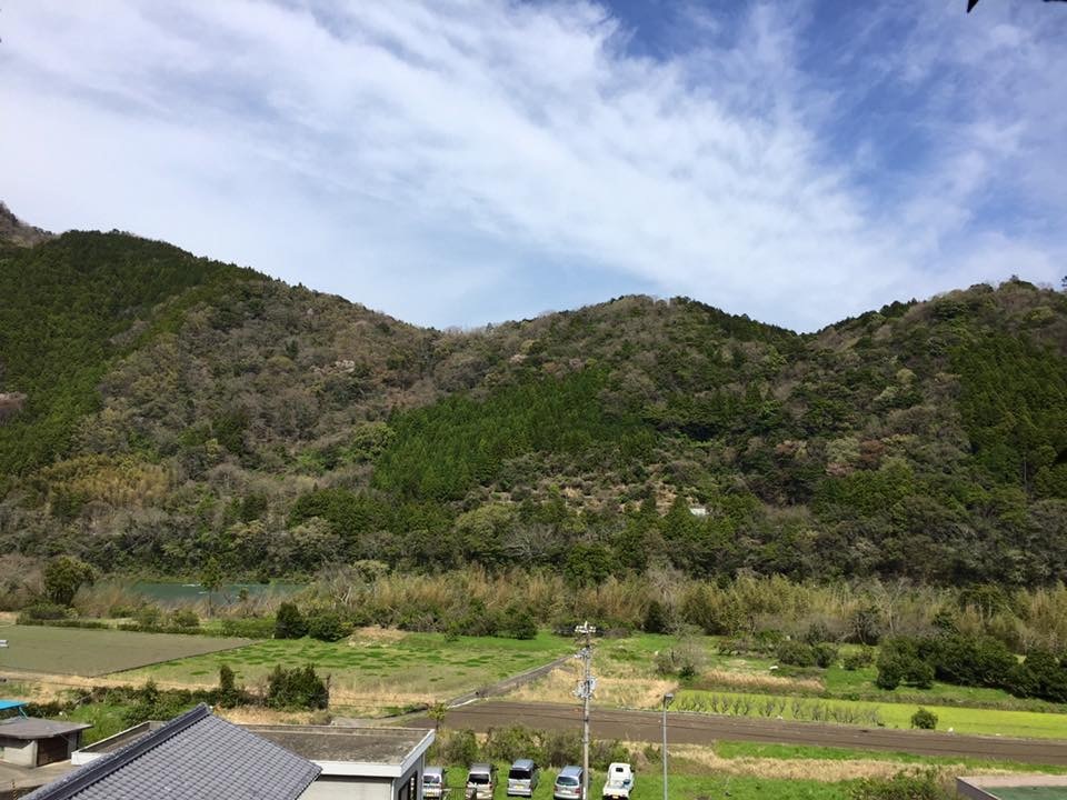 お山のおうち ー 森のようちえん In 徳島 プレ ー