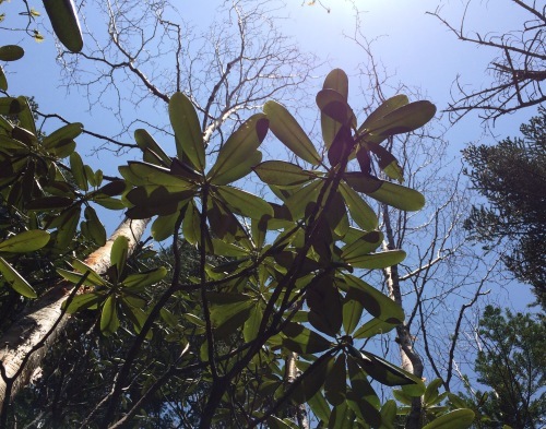 5月26日の日記_c0369344_13192360.jpeg