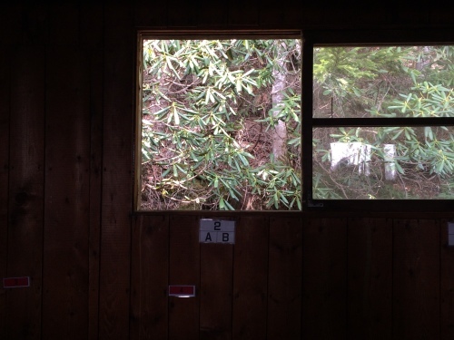 5月26日の日記_c0369344_13462866.jpeg