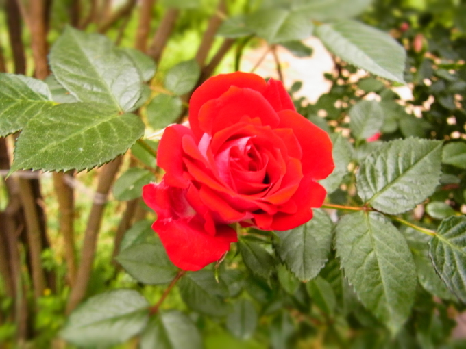 a0305046_09041047.jpg