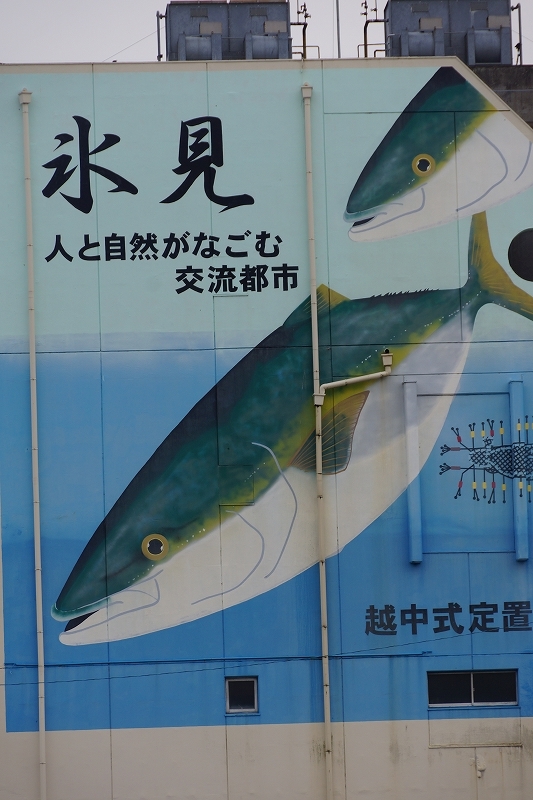 魚々座 _d0113554_08224078.jpg