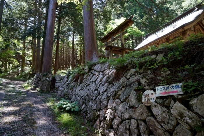 山梨百名山＠大栃山　2016.05.12(木)_f0344554_07443215.jpg