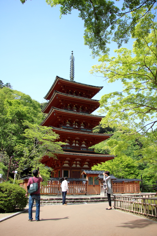 長谷寺　五重塔を望む　②_c0272958_20564134.jpg