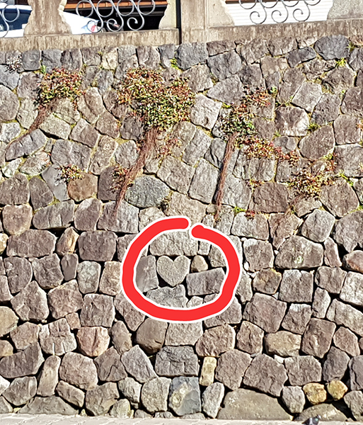 e0306962_127496.jpg