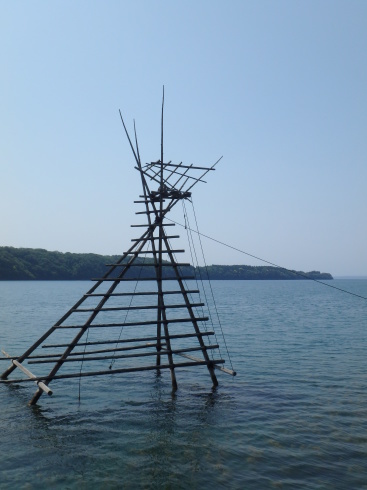 f0350468_10070555.jpg