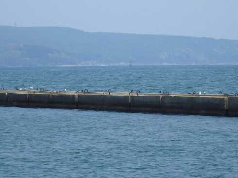 f0350468_10092593.jpg