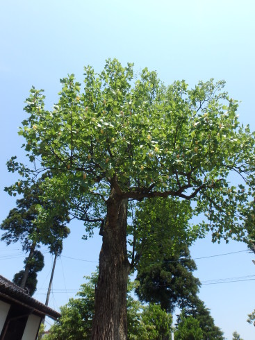 f0350468_19112938.jpg