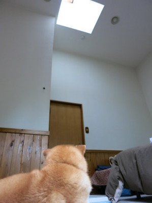 e0012580_15503222.jpg
